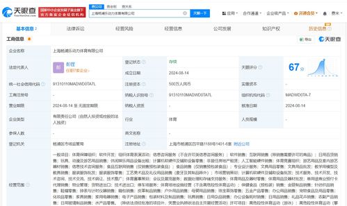 阿里橙獅上海落子，布局數據處理與存儲服務新篇章